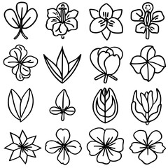 flower, flower silhouette, flower outline, herb svg, herb png,floral, pattern, vector, set, nature, flowers, design, illustration, art, seamless, spring, summer, decoration, plant, ornament, collectio
