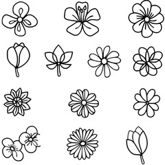 flower, flower silhouette, flower outline, herb svg, herb png,floral, pattern, vector, set, nature, flowers, design, illustration, art, seamless, spring, summer, decoration, plant, ornament, collectio