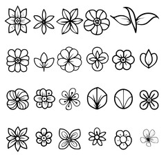 flower, flower silhouette, flower outline, herb svg, herb png,floral, pattern, vector, set, nature, flowers, design, illustration, art, seamless, spring, summer, decoration, plant, ornament, collectio