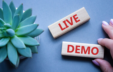 Live Demo symbol. Concept word Live Demo on wooden blocks. Beautiful grey background with succulent...
