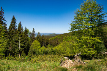 Śnieżnik, widok na Masyw Śnieżnika
