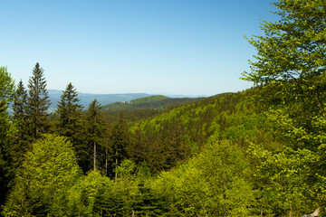 Śnieżnik, widok na Masyw Śnieżnika