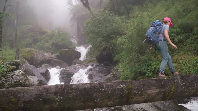 Woman with backpack and trekking poles crossing mountain river wooden log bridge during Makalu Barun National Park trek in Nepal. Mountain hiking and active people concept image.