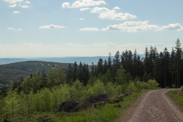 Śnieżnik, widok na Masyw Śnieżnika