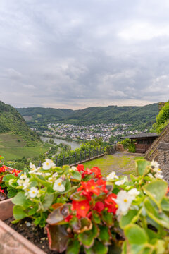 Cochem town and vineyards aerial panoramic view in Moselle valley, Germany