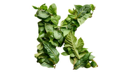 Letter K Made with Leaves, PNG File, Transparent Background, Isolated on White