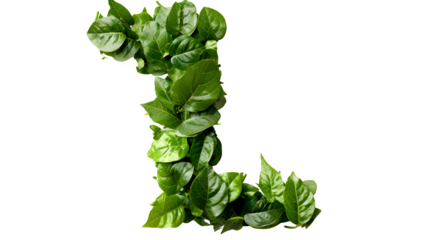 Letter L Made with Leaves, PNG File, Transparent Background, Isolated on White