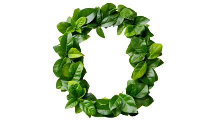 Letter O Made with Leaves, PNG File, Transparent Background, Isolated on White