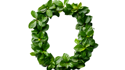 Letter O Made with Leaves, PNG File, Transparent Background, Isolated on White