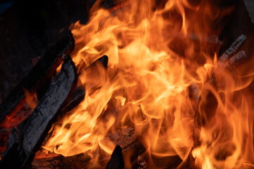 Close-up of a vibrant fire with blazing orange flames and charred logs, capturing the intensity of...