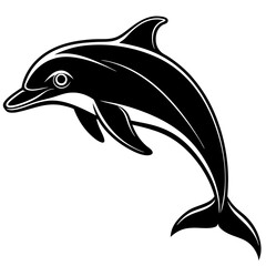 dolphin isolated on white