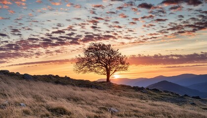 sunset in the mountains
