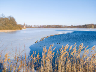 Moritzburg lighthouse in winter