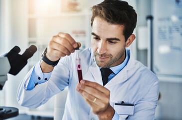 Man, scientist and blood sample in laboratory for test of disease, medical research and diagnostic study for virus. Male doctor, hemoglobin and pathology investigation for clinical trial and analysis