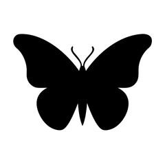 butterfly vector