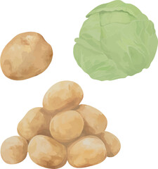 Vector Watercolor cooking set, food set, vegetables, potato, cabbage, pile of potato. Illustrations for creative cooking, invitation, greeting cards, birthday, event, holiday, menu; cooking class; Mas