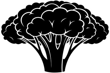 broccoli silhouette vector illustration