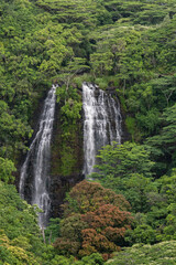 Obraz premium Opaekaa Falls Vista Parking, ʻŌpaekaʻa Falls is a waterfall located on the ʻŌpaekaʻa Stream in Wailua River State Park on the eastern side of the Hawaiian island of Kauai. Hawaii, basalt 