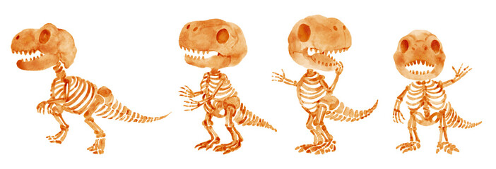 Tyrannosaurus rex skeleton . Hand drawn watercolor paint design . Cute cartoon characters . Set 4 . Illustration . © stockdevil