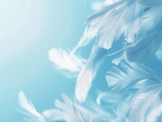 The abstract concept of soft blue feathers provides a tranquil and calming wallpaper or background best-seller