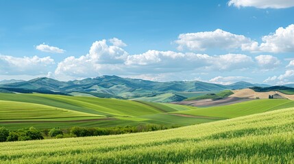 Fototapeta premium A panoramic view of rolling green hills and meadows under a bright blue sky dotted with puffy white clouds