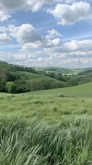 A panoramic view of rolling green hills and meadows under a bright blue sky dotted with puffy white clouds