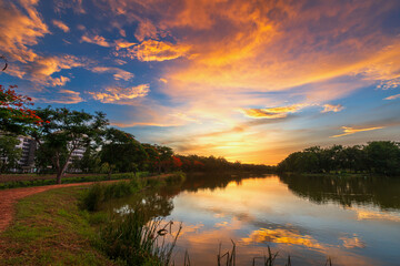 Obraz premium road landscape lake views and the reservoir the forest summer with evening blue dramatic sunset sky nature background.