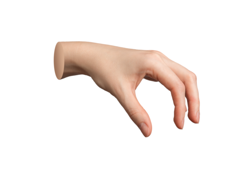 Hand gesture, sign holding space, showing smth. isolated on white background., transparent PNG cutout