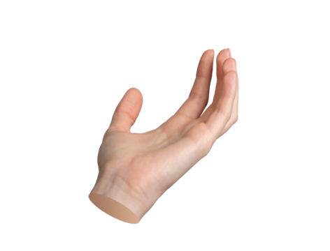 Hand holding, taking up gesture, sign. isolated on white background., transparent PNG cutout