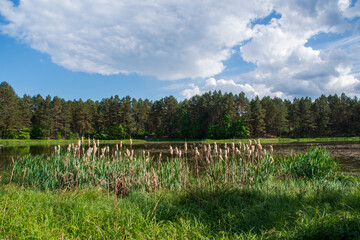 Fototapeta premium Roztocze, Zalew w Majdanie Sopockim, Roztocze, Reservoir in Majdan Sopocki