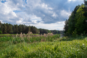 Obraz premium Roztocze, Zalew w Majdanie Sopockim, Roztocze, Reservoir in Majdan Sopocki