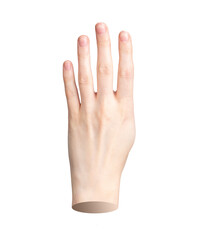 Fototapeta premium Hand showing four fingers, counting 4. Fourth number gesture, isolated symbol on white background. dorsal side., transparent PNG cutout
