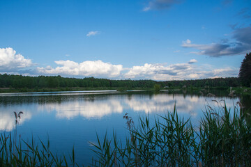 Roztocze, 4 stawy, Roztocze, 4 ponds