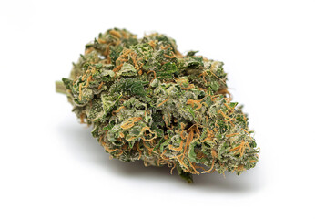 beldia, best Moroccan variety, 
 cannabis plants, marijuana oil, marijuana, leaf, ganja, herb, medical, recreational, drug, hemp, THC, CBD, natural, organic, botany, foliage