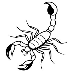 scorpion isolated on white