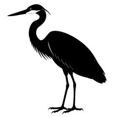 heron in the morning