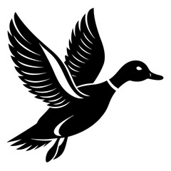 Obraz premium duck in flight