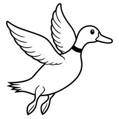 white Duck flying
