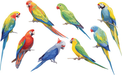 parrot watercolor clipart
