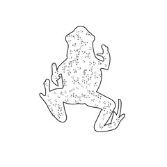 Hand Drawn icon of Dart frog