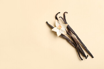 Aromatic vanilla sticks and flower on color background