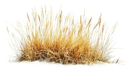 Obraz premium A pile of dry grass sitting on top of a snow-covered ground, ideal for winter or seasonal concepts