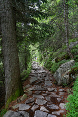 Summer landscape of a mountain path in High Tatra Mountains, Slovakia, Europe