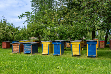 Ule, pasieka, Beehives, apiary © Studio RMW