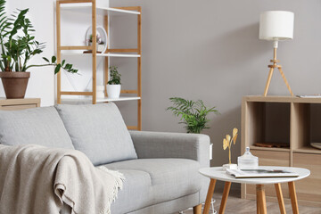 Interior of living room with cozy sofa, houseplants, shelving unit and coffee table