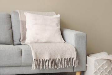 White living room with cozy sofa, plaid and pillow