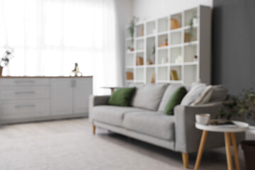 Blurred view of living room with grey sofa and bookshelf