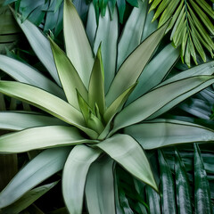 Obraz premium Nature leaves, green tropical forest, Fresh green ornamental plants. backgound concept