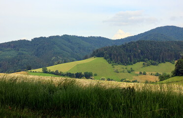 Wildtaler Eck bei Freiburg im Frühsommer
