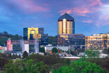 Bloomington, Minnesota, USA Cityscape